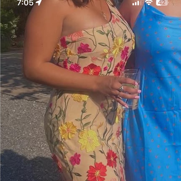 Fashion Nova Dresses & Skirts - Floral Embroidered Maxi Dress